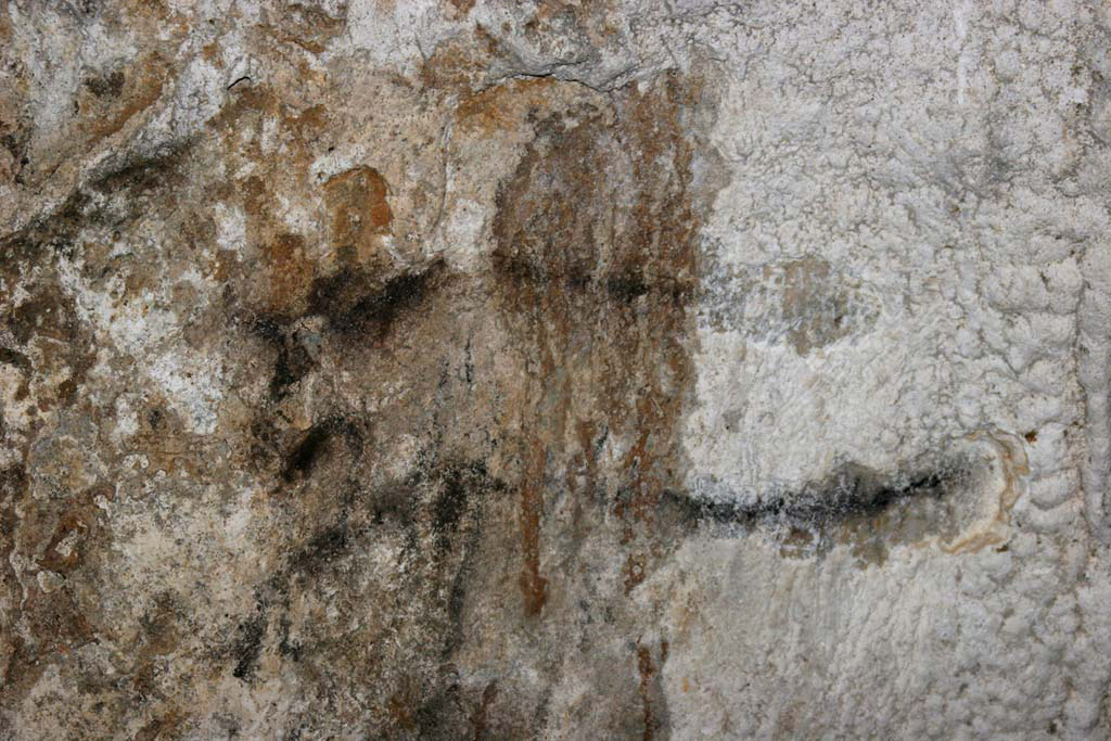 Gargas_peinture_cervidé_préhistoire_gravettien