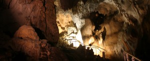 Visite approfondie @ Nestploria / grottes de Gargas